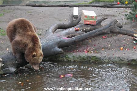 Hagenbeck 05122014 033 033