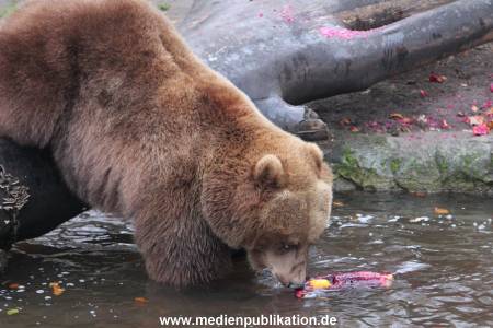Hagenbeck 05122014 034 034