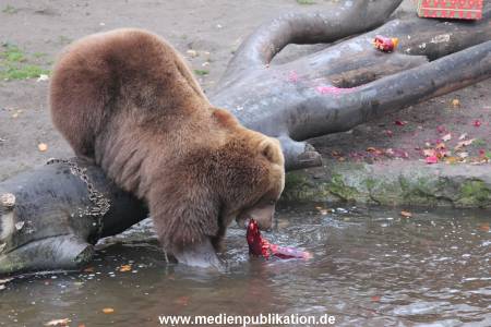 Hagenbeck 05122014 035 035