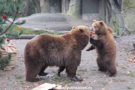 Hagenbeck 05122014 037 037