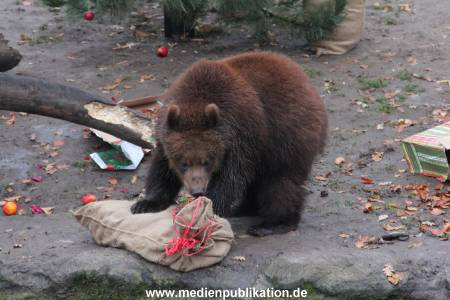 Hagenbeck 05122014 038 038