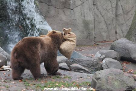 Hagenbeck 05122014 039 039
