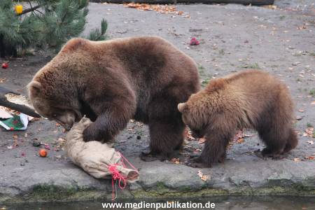 Hagenbeck 05122014 040 040