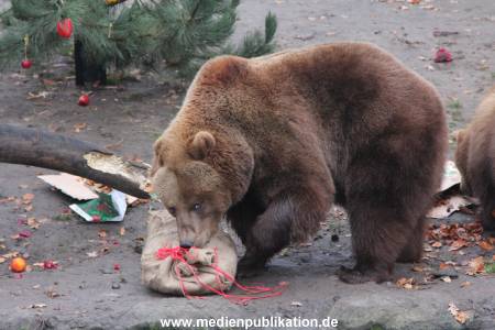 Hagenbeck 05122014 041 041