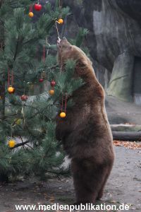 Hagenbeck 05122014 043 043