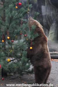 Hagenbeck 05122014 044 044