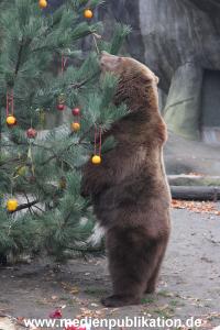 Hagenbeck 05122014 046 046