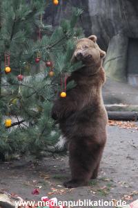Hagenbeck 05122014 047 047