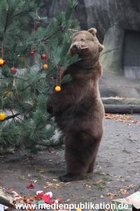 Hagenbeck 05122014 048 048