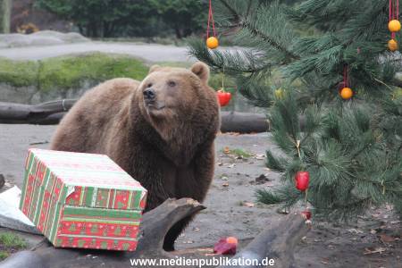 Hagenbeck 05122014 049 049