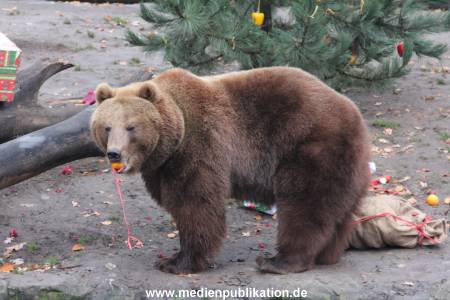 Hagenbeck 05122014 050 050