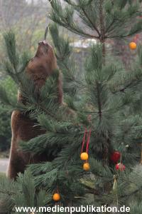 Hagenbeck 05122014 051 051