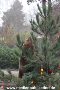 Hagenbeck 05122014 052 052