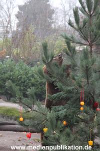 Hagenbeck 05122014 057 057