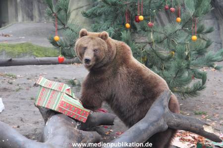 Hagenbeck 05122014 059 059