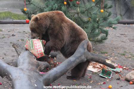 Hagenbeck 05122014 060 060