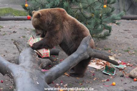 Hagenbeck 05122014 061 061