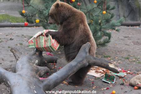 Hagenbeck 05122014 062 062