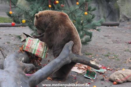 Hagenbeck 05122014 064 064