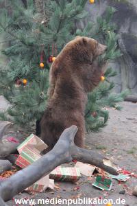 Hagenbeck 05122014 065 065