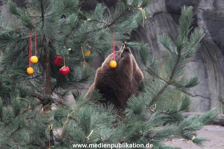 Hagenbeck 05122014 066 066