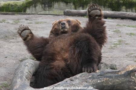 Hagenbeck 10032016 038