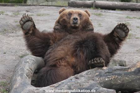 Hagenbeck 10032016 040