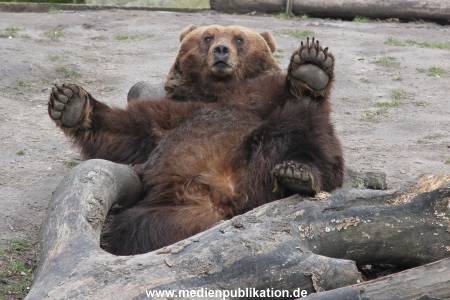 Hagenbeck 10032016 042