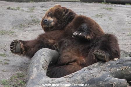 Hagenbeck 10032016 044