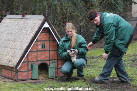 Hagenbeck Inventur 02032012 002