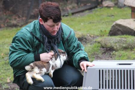 Hagenbeck Inventur 02032012 003