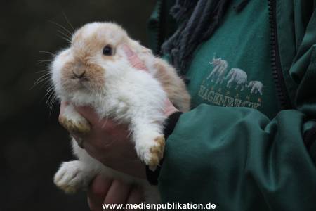 Hagenbeck Inventur 02032012 008