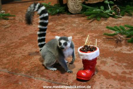 Hagenbeck 04122009 003