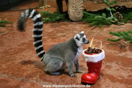 Hagenbeck 04122009 004