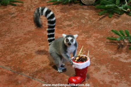 Hagenbeck 04122009 005