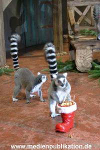 Hagenbeck 04122009 008