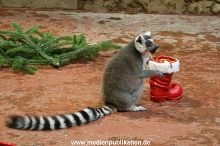 Hagenbeck 04122009 012