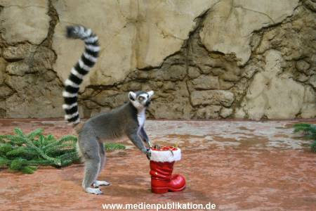Hagenbeck 04122009 014