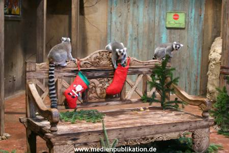 Hagenbeck 04122009 015