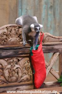 Hagenbeck 04122009 016