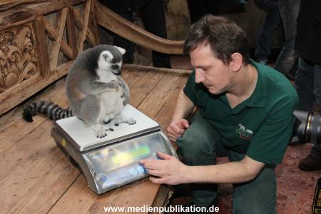 Hagenbeck 29112010 011