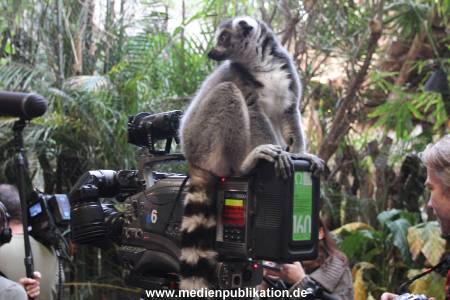 Hagenbeck 29112010 014