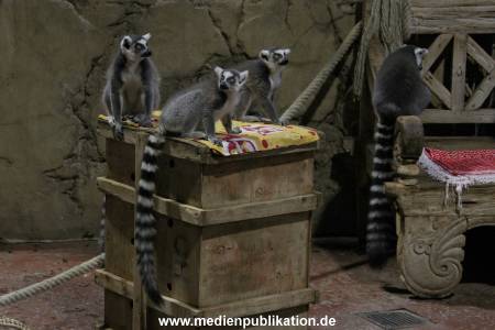 Hagenbeck Inventur 12012018 002