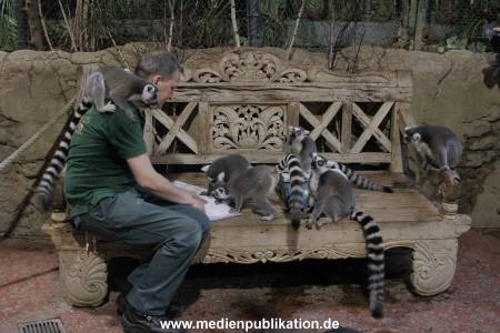 Hagenbeck Inventur 12012018 006