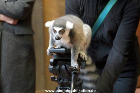 Hagenbeck Inventur 29122009 001