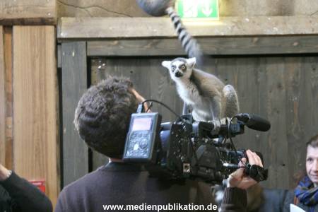 Hagenbeck Inventur 29122009 002