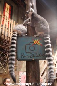 Hagenbeck Inventur 29122014 001