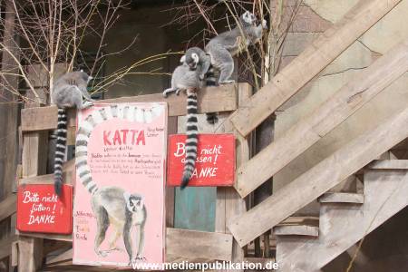 Hagenbeck Inventur 29122014 002