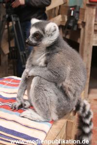 Hagenbeck Inventur 29122014 003