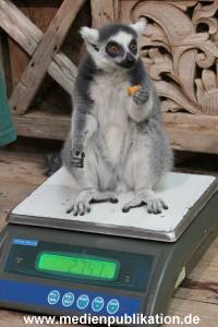 Hagenbeck Inventur 29122015 006